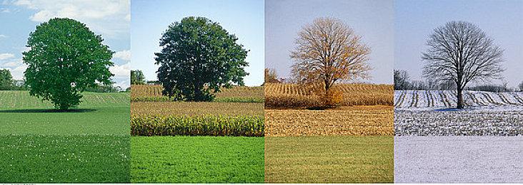 策略型回合制扑克游戏《Sweep》Steam页面上线 明年发售