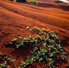 暴雪：《魔兽争霸3：重铸版》新消息6月放出